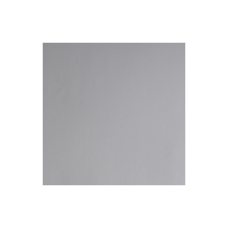 E3877B - Argent Brillant